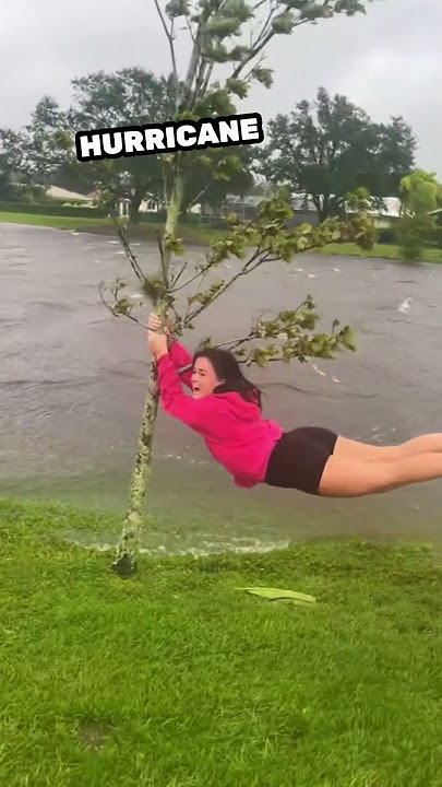 They barely survived the hurricane 😯