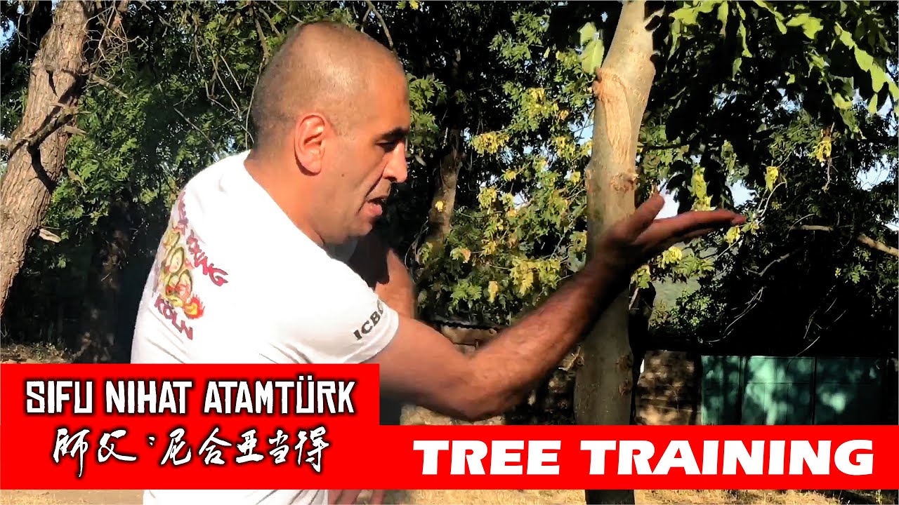 Sifu Nihat Atamtürk - Holzstammtraining in Georgien