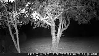 2025 — DSCF1189