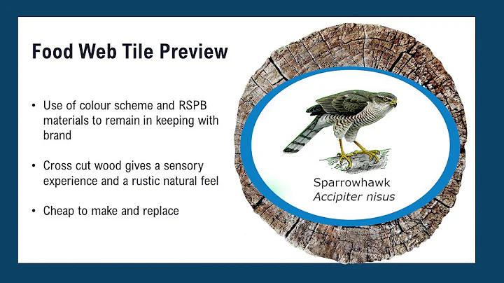 Avian Adaptations - An Interpretive Plan