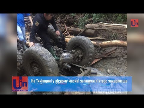 На Тячівщині у лісному масиві загинули п’ятеро закарпатців