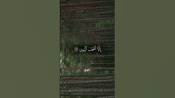 #قرآن #قران_كريم #راحة_نفسية #تلاوة_خاشعة #اكسبلور_explore #اكسبلور