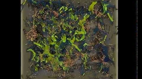 Flow field through a piece of rock