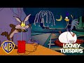 Fireworks With Coyote Roadrunner Looney Tuesdays ChristmasCartoons KidsCartoons Wbkids 