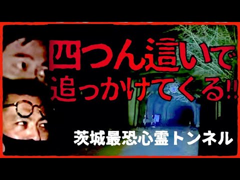 Tsukii Tunnel] When I went through the rumored haunted tunnel, a