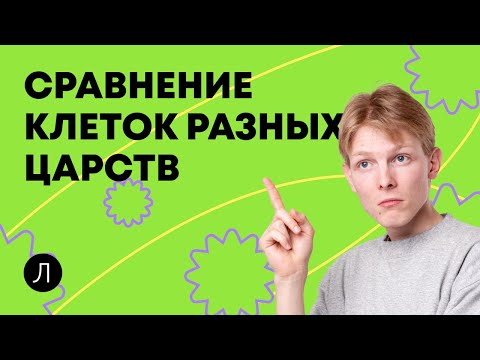 БИОЛОГИЯ ОГЭ - Сравнение клеток разных царств