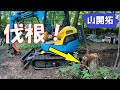 【山開拓】ミニユンボで山小屋の切り株を伐根をしてみた!