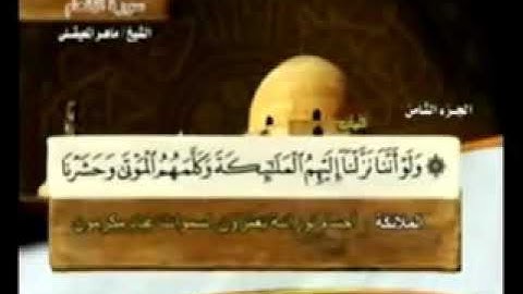 الجزء الثامن من القرآن الكريم بصوت الشيخ ماهر المعيقلي