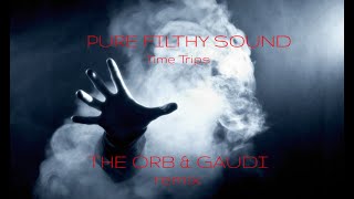 Pure Filthy Sound (David Harrow &amp; Sam Robson) -  Time Trips  (THE ORB &amp; GAUDI remix)