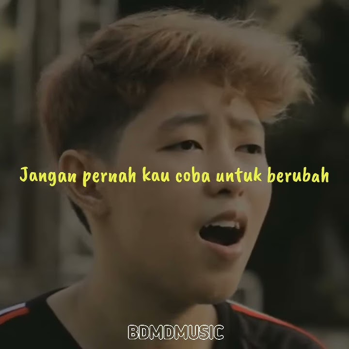 Story WA ~ Jangan Pernah Berubah Cover Chika Lutfi