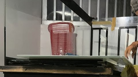 Lễ của hồ cá đoàn chương