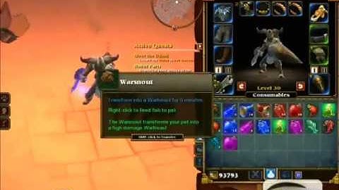 Torchlight 2 Epic Pet Glitch (Commentary)