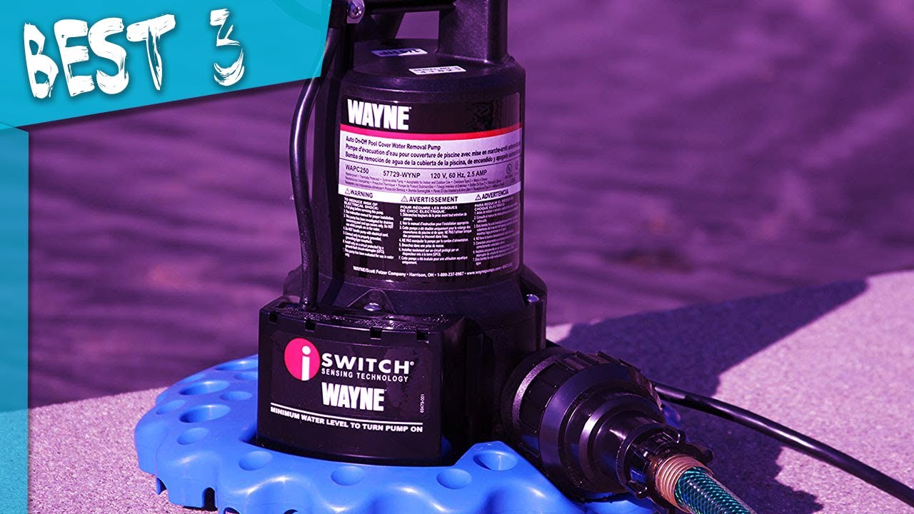 Top 3 Best Pool Pump Reviews 2023 YouTube