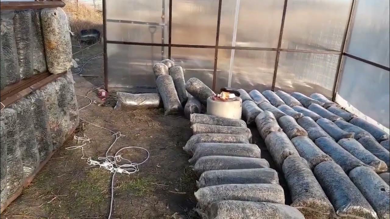 Стеллажи для грибных блоков - YouTube