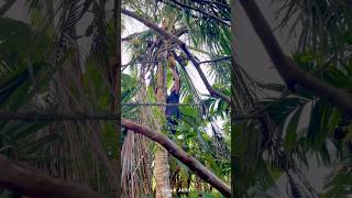 The real Wonder Woman. #inhilriau