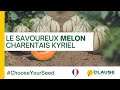 Le melon kyriel savoureux  souhait    chooseyourseed  hmclause