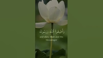 صوت الباكي محمد صديق المنشاوي|سورة الانفال آية ١