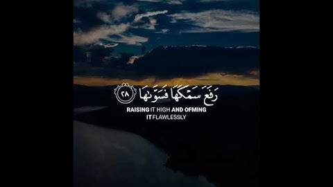 حالات واتس قرآن 🌼| القارئ شريف مصطفى