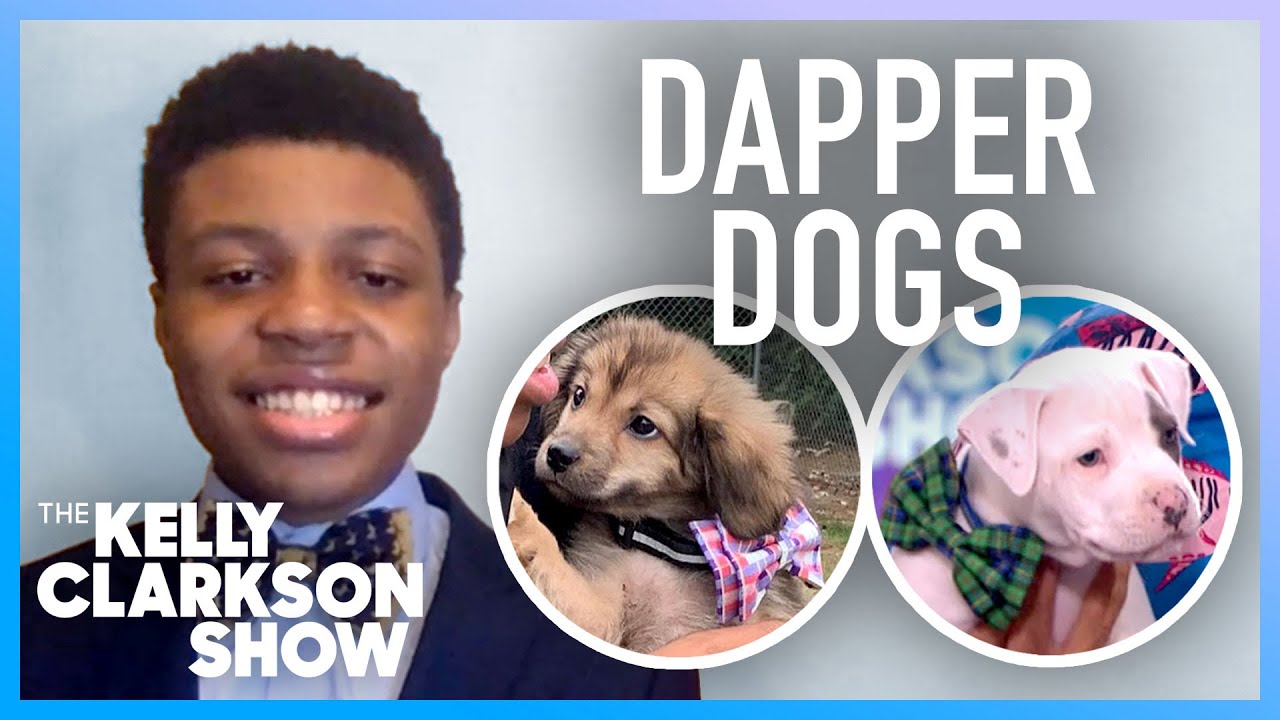 13-Year-Old's Bow Ties Help Shelter Dogs Get Adopted - YouTube