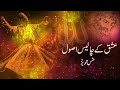 Forty Rules of Love in Urdu/Hindi