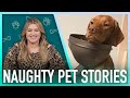 Kelly Clarkson Reacts To Hilarious Naughty Pet Stories | Digital Exclusive