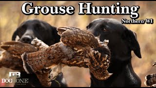 Grouse Hunting Northern Wisconsin: Flushing the King (part 1)