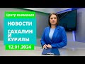 Снежный циклон ударил по Сахалину/Наважья путина в Поронайске/День печати Новости Сахалина 12.01.24