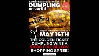 RUN TO YOUR LOCAL FIVE BELOW FIRST THING TOMORROW, IF YOU WANT A CHANCE TO GET THE GOLDEN DUMPLING! Wealth