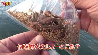 【掟破りの二刀流】イカダに揺られ釣り糸を垂らした途端ごっついの引き出した!