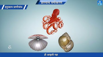 10th Science 2 | Chapter#06 | Topic#08 | मृदुकाय प्राणीसंघ, कंटकचर्मी प्राणीसंघ | Marathi Medium