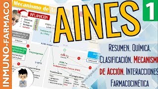 AINES  Que? Como? y Cuando Usar! CLASIFICACIÓN, MECANISMO DE ACCIÓN y mas   |Inmunofarmacología|1