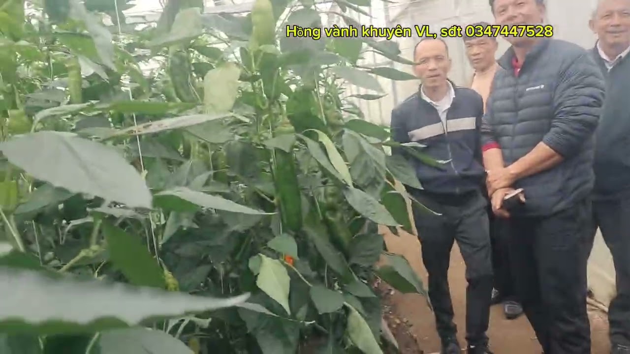 Học tập kính nghiệm tại mộc Châu Sơn la 