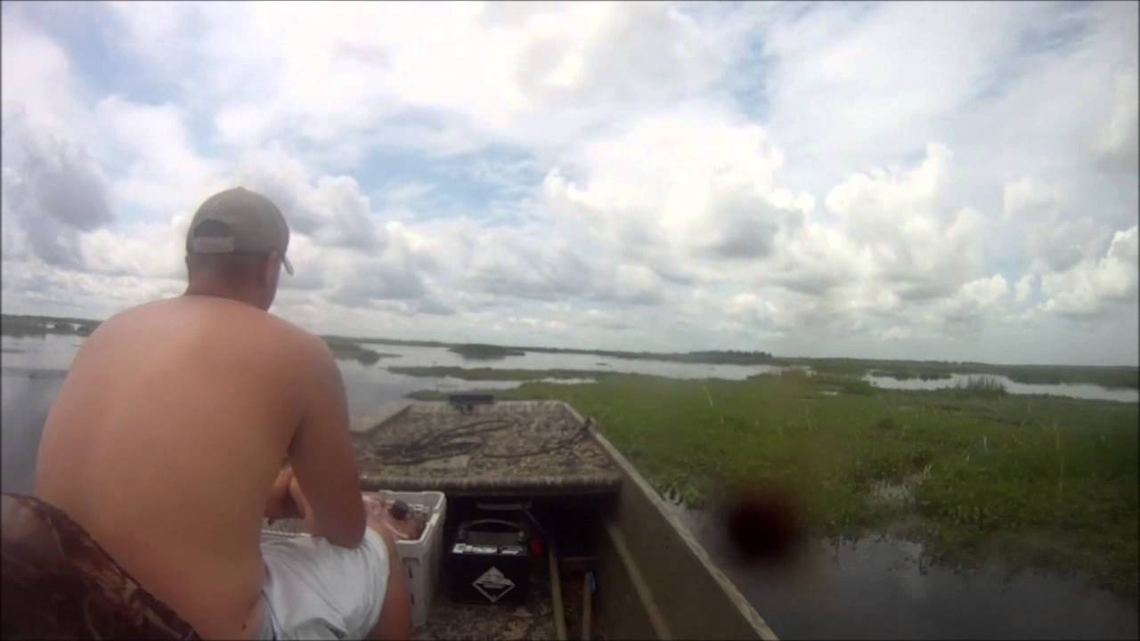 bayou black run 6/8/13 YouTube