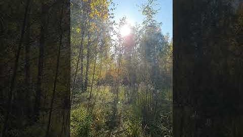 Why is autumn so beautiful in the reserve?