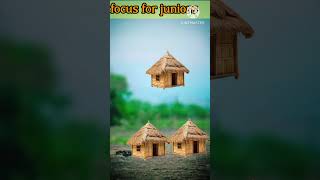 Focus Test For Genius | Focus Test #focustest #viral #shorts