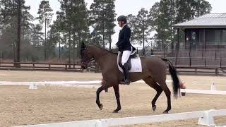 Contessa - Stable View - Jan ‘22 Profile