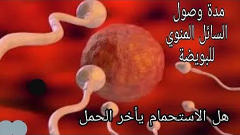 ميت تسجيل بالنيابة عن أوضاع تسبب الحمل Irontailgallery Com