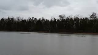 Nature Clip - 35 - Frozen Turtle Pond (Relaxing & Calming Sounds) by FriskyTheBeaver 52 views 3 months ago 9 minutes, 1 second