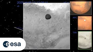 Hera's Mars flyby - simulation vs real images