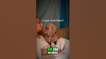 Ela aprendeu a Falar a Língua dos Cachorros, e a Reação do Seu Cão Foi incrivel!😳#shorts