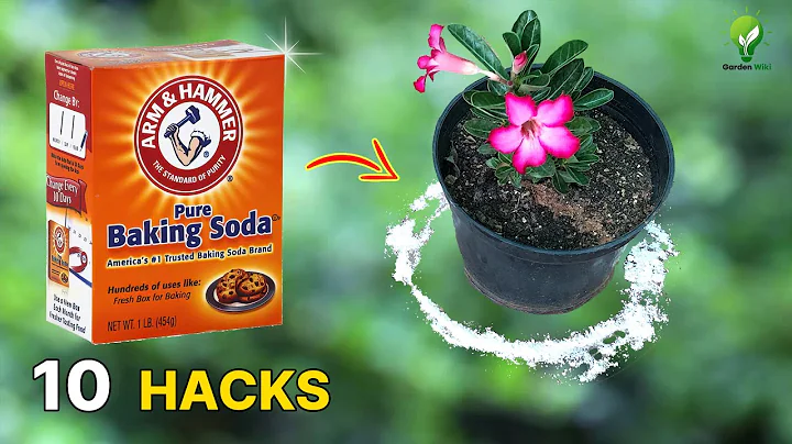 Unleash the Power of Baking Soda in Your Garden: 10 Magical Garden Hacks!