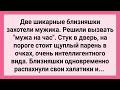 Шикарные Близняшки Вызвали Мужа на Час! Сборник Свежих Смешных Жизненных Анекдотов!