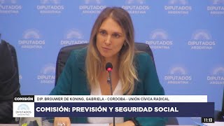 COMISIÓN COMPLETA: PREVISIÓN Y SEGURIDAD SOCIAL - 4 de abril de 2024 - Diputados Argentina