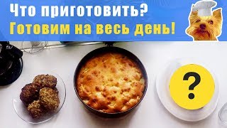 Что приготовить? Готовим на весь день! Полезные советы.