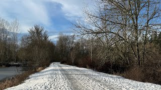 POLES AND PONDS! 🦆Exploring Salmon Creek Greenway: After the Ice Storm🥶🧊