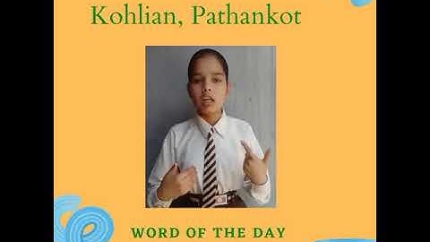 What is Softcopy in #Computer science