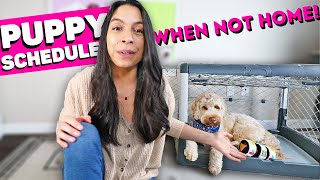 DON'T LEAVE PUPPY HOME ALONE before watching!  Crate & Potty Training Setup!