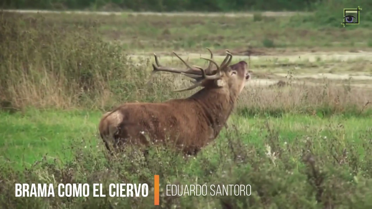 Musica cristiana con imagenes de la naturaleza