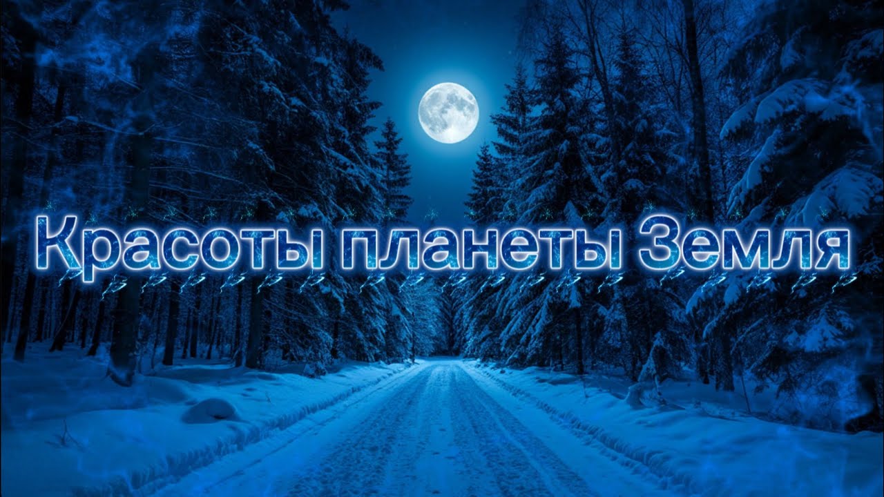 Красоты планеты Земля. Зимний лес. (Full). 10/006. Ai version.