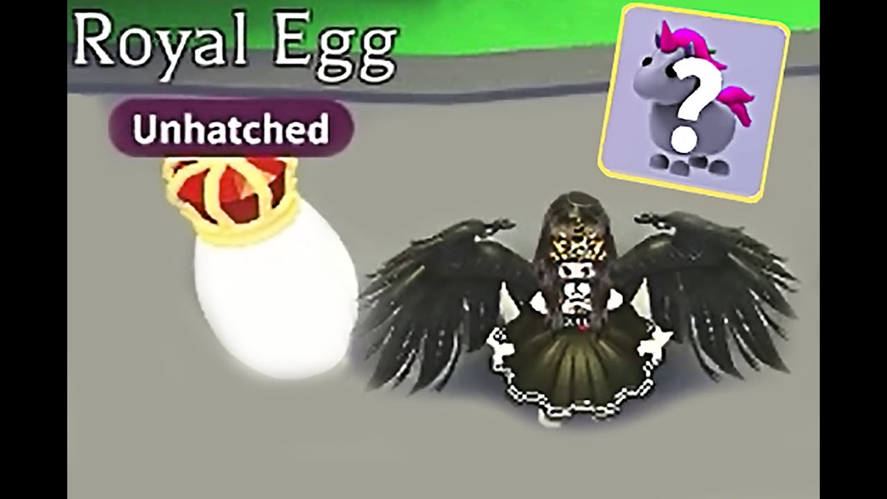 How to get a Legendary Pet from a Royal Egg (watch till the end to see